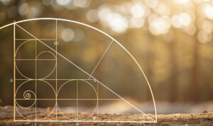 Baffle Bags